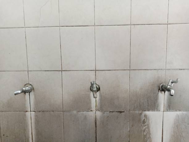 Best Local water damage restoration  in Livingston, LA