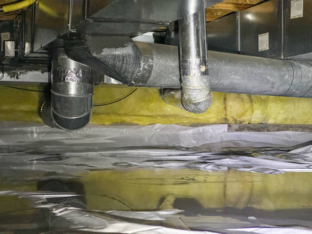 Best Water damage restoration near me  in Livingston, LA